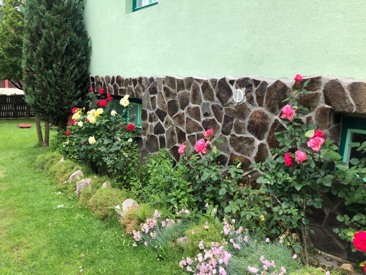 Panorama panzió BaileTusnad Exterior foto